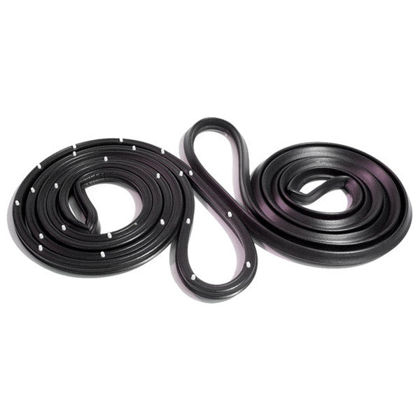 *1975–1979 GM X-Body, 2-Dr Sedan, (Nova, Ventura, Phoenix, Omega, Skylark); Door Seals, w/ Clips & Molded Ends
